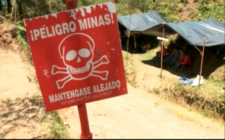 Mozambique declared free of landmines